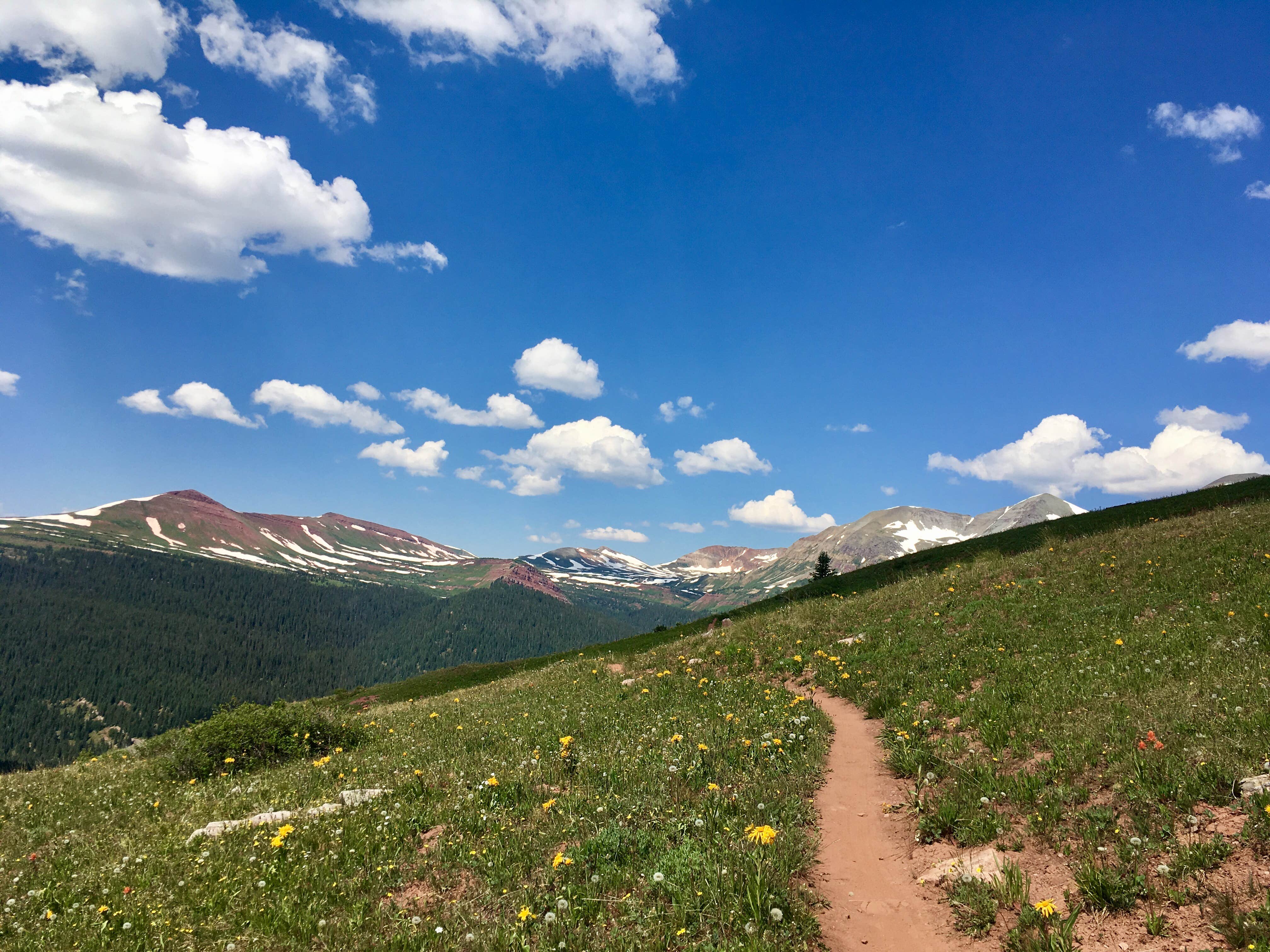 Camper-submitted photo at Little Molas Lake Campground near Ouray, CO
