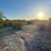 Review photo of BLM Ironwood Forest National Monument - Pipeline Rd Dispersed camping by Steven M., February 26, 2023