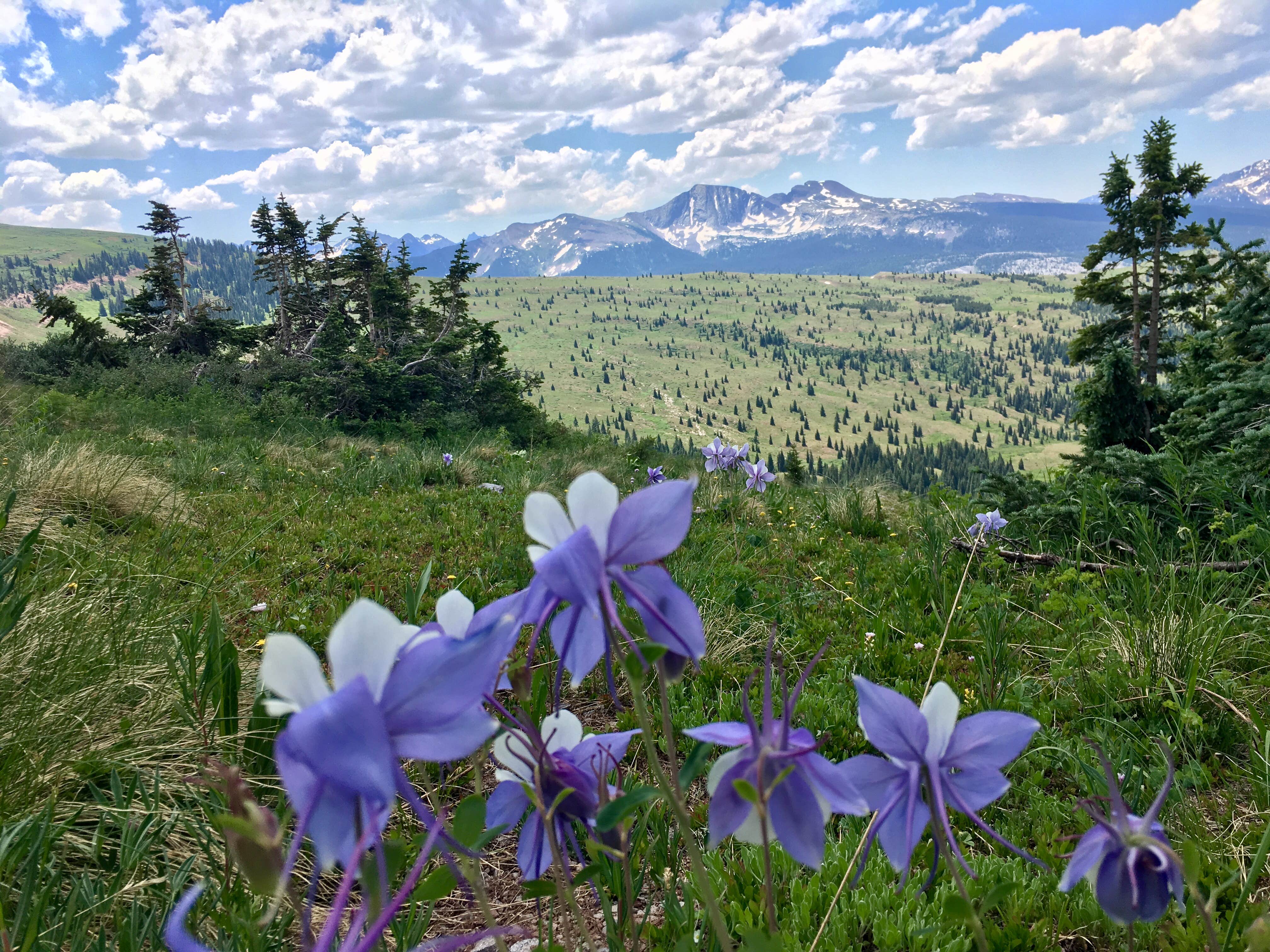Camper-submitted photo at Little Molas Lake Campground near Ouray, CO