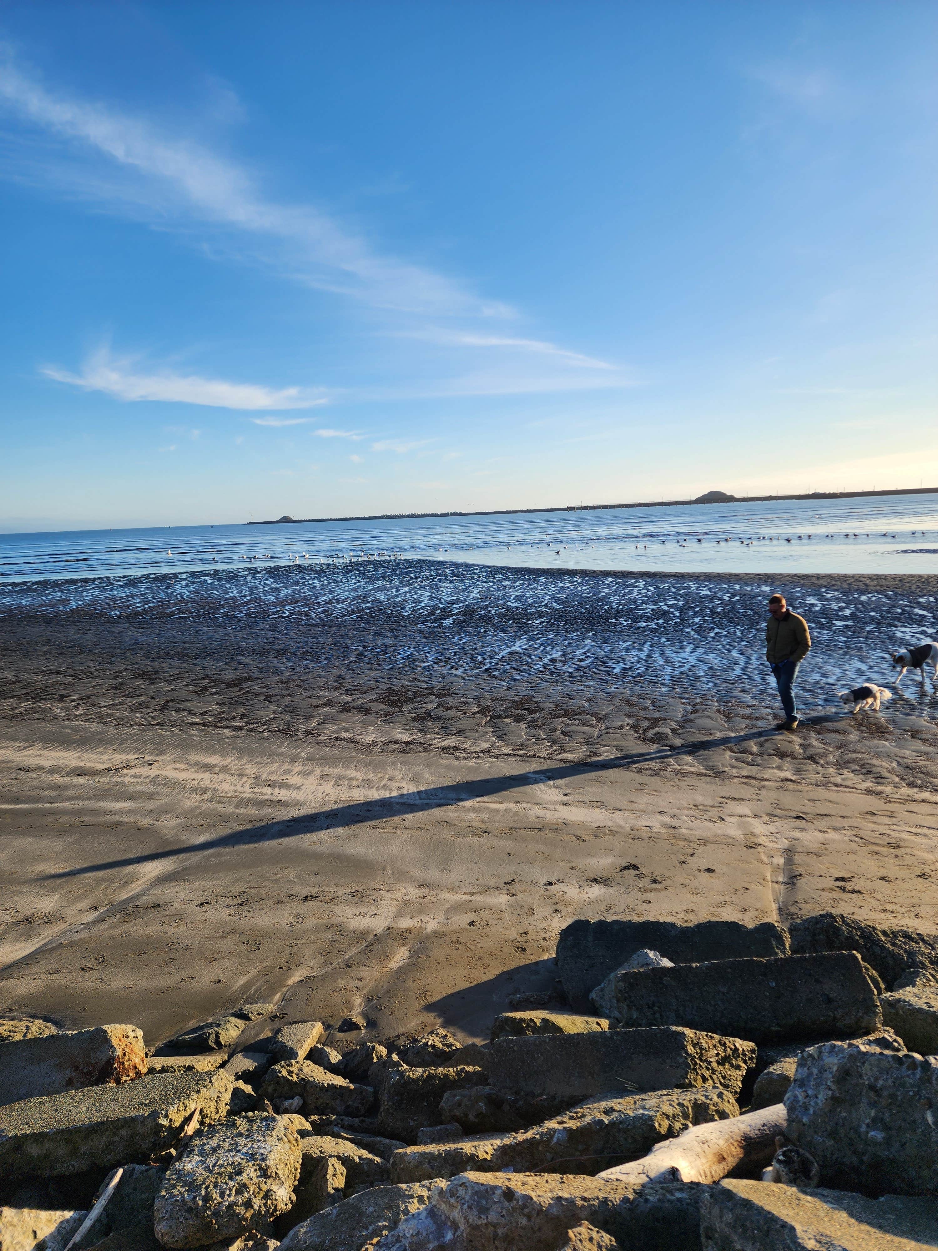 Bambi K.'s photo of camping with pets at Lighthouse Cove RV Park near Smith River, CA