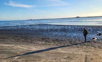 Bambi K.'s photo of camping with pets at Lighthouse Cove RV Park near Brookings, OR