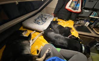 Shannon G.'s photo of camping with pets at Findley State Park Campground near Huron, OH