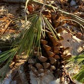 Review photo of Findley State Park Campground by Shannon G., February 26, 2023