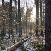 Review photo of Findley State Park Campground by Shannon G., February 26, 2023