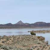 Review photo of Alamo Lake State Park Campground by Chris P., February 26, 2023