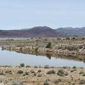 Review photo of Alamo Lake State Park Campground by Chris P., February 26, 2023