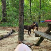 Review photo of Little Pee Dee State Park Campground by Andrew S., February 26, 2023