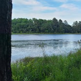 Review photo of Little Pee Dee State Park by Andrew S., February 26, 2023
