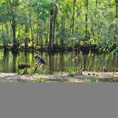 Review photo of Little Pee Dee State Park Campground by Andrew S., February 26, 2023