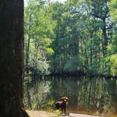Review photo of Little Pee Dee State Park Campground by Andrew S., February 26, 2023