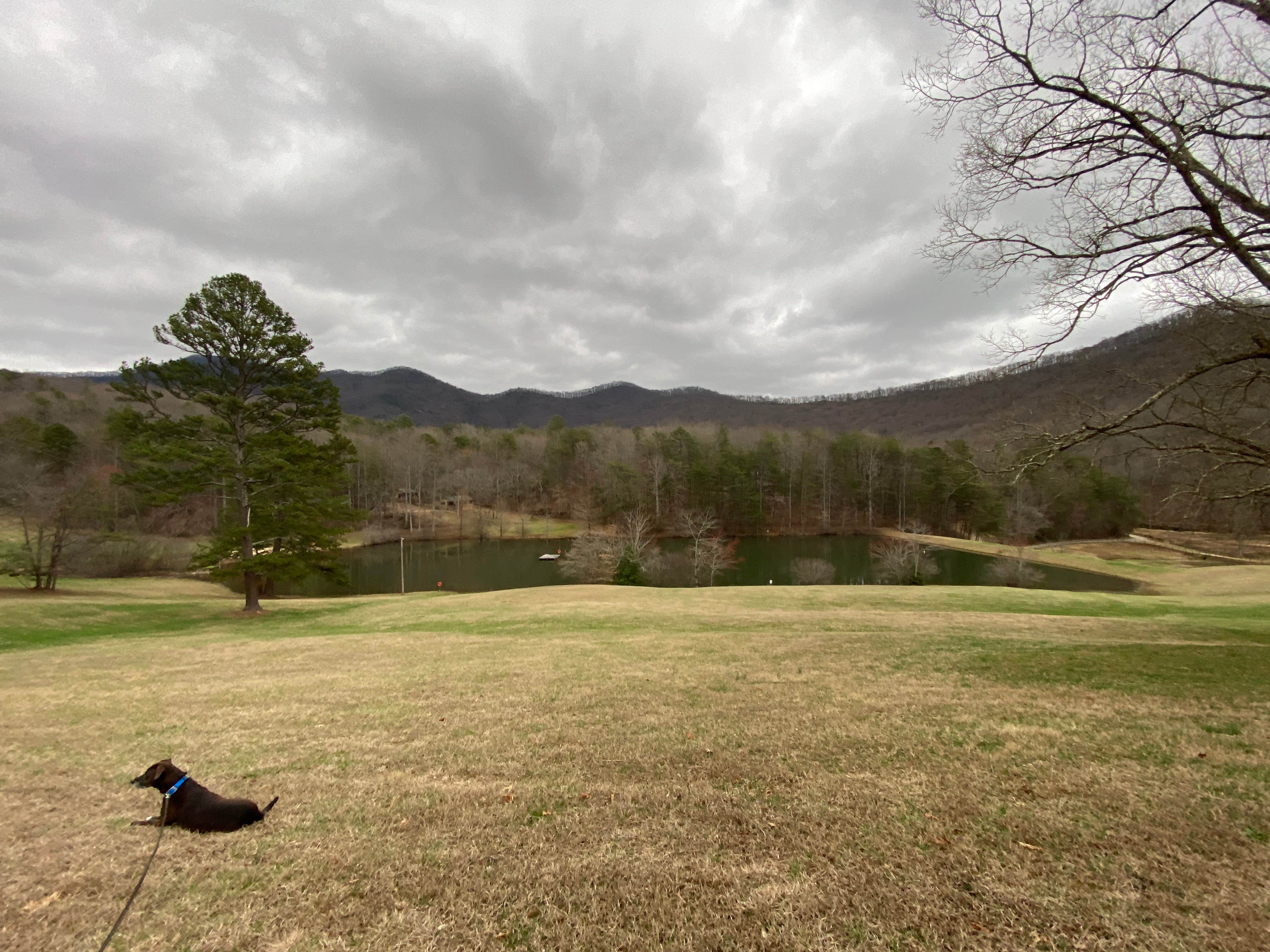 B R.'s photo of camping with pets at Trackrock Campground & Cabins near Blairsville, GA
