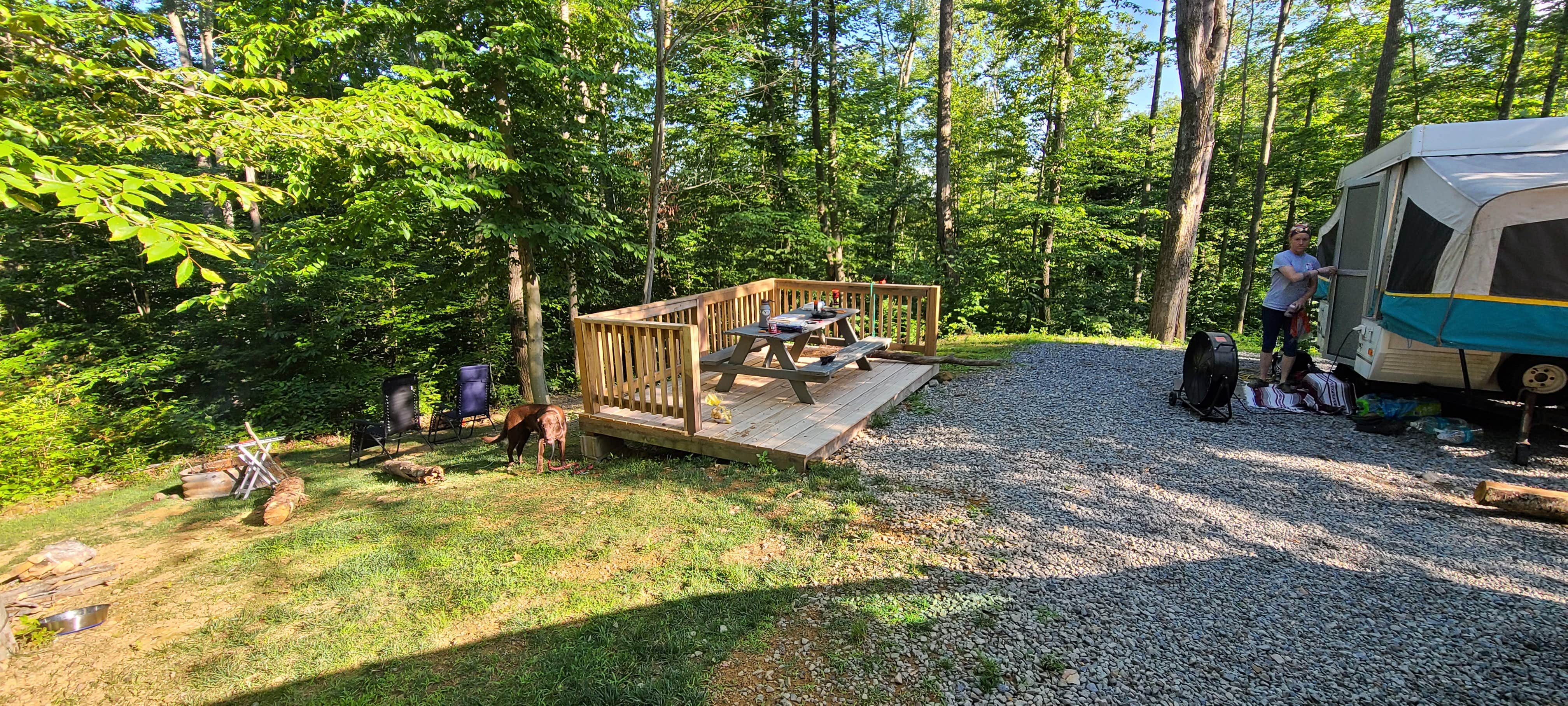 Andrew S.'s photo at Rifrafters Campground near Lookout, WV