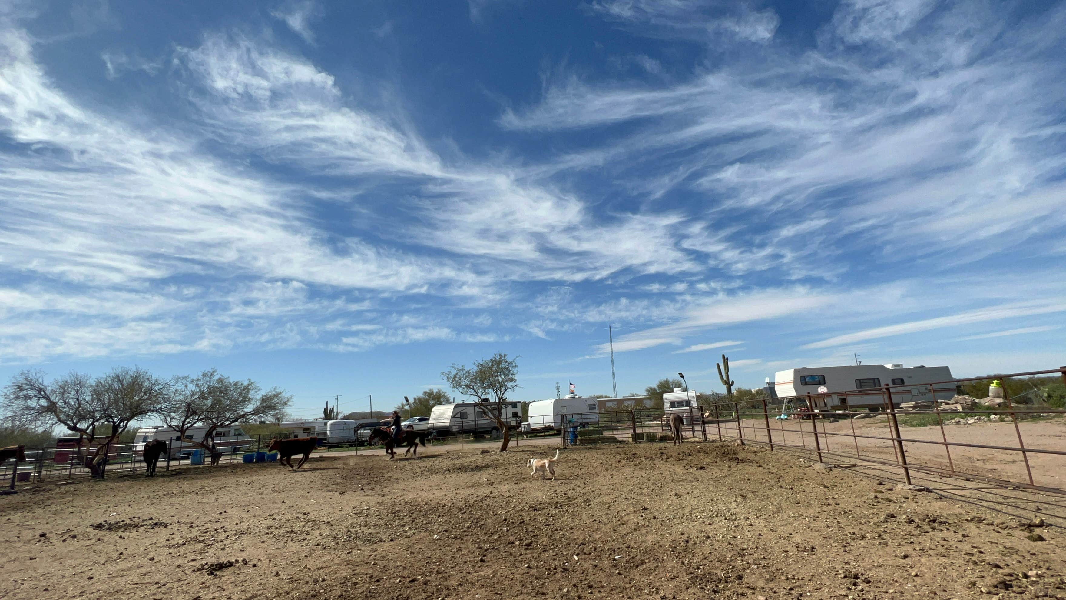 Name's photo of camping with pets at Sig & Ko Ranch near Wickenburg, AZ