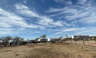 Name's photo of camping with pets at Sig & Ko Ranch near Crown King, AZ