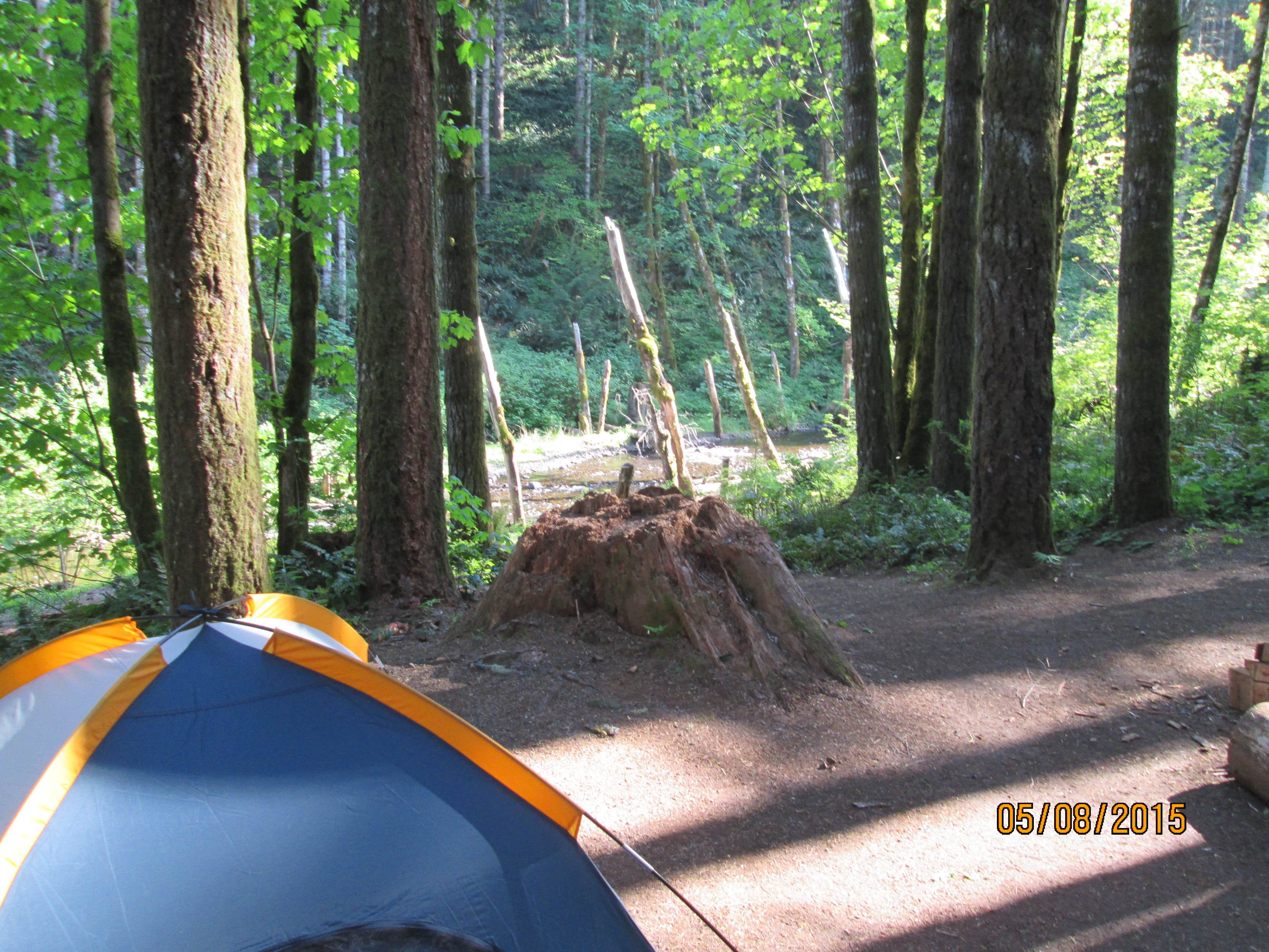 Paul A.'s photo at Gales Creek Campground near Timber, OR