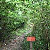 Review photo of Gulpha Gorge Campground — Hot Springs National Park by Shelly S., August 14, 2016