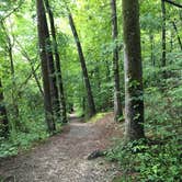 Review photo of Gulpha Gorge Campground — Hot Springs National Park by Shelly S., August 14, 2016