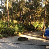 Review photo of Topsail Hill Preserve State Park Campground by Sharon A., February 27, 2023