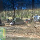 Review photo of Suwannee River Rendezvous Resort by Samantha B., February 27, 2023