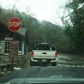 Review photo of Julia Pfeiffer Burns Environmental Camping — Julia Pfeiffer Burns State Park by kenny T., February 27, 2023