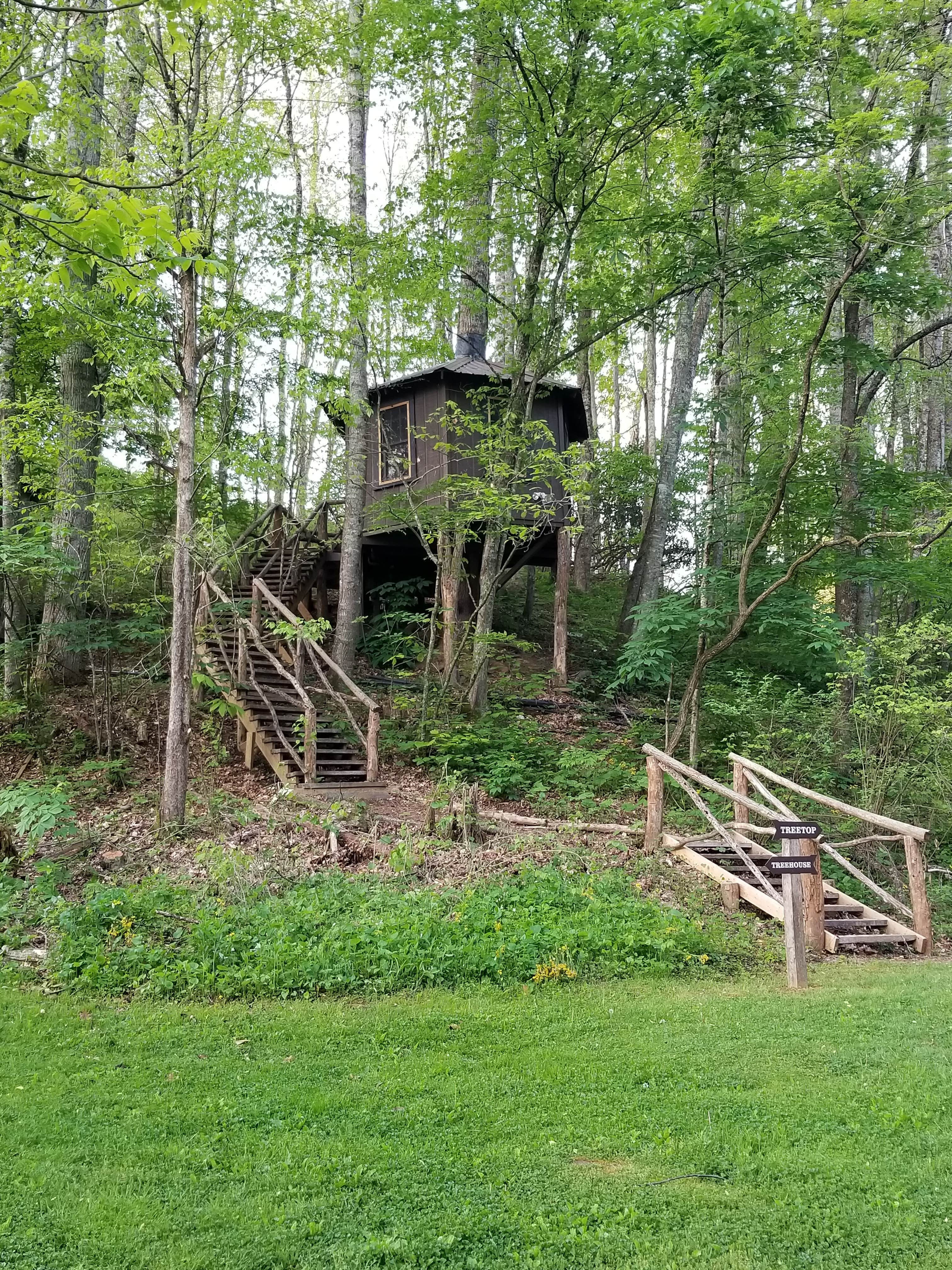 Anne P.'s photo of a cabin at The Cabins At Healing Springs near Elk Creek, VA