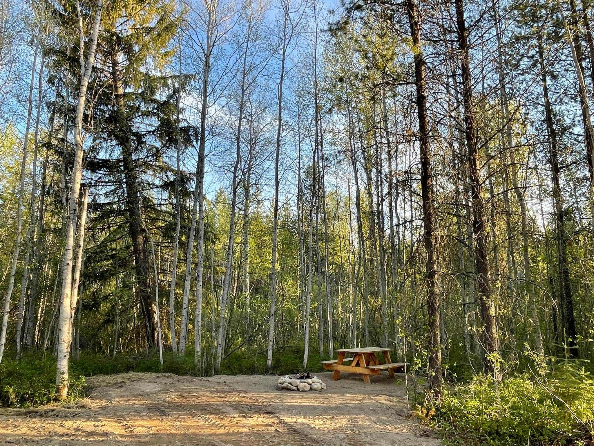 Jake B.'s photo of a cabin at Glacier HipCamp (6 mins to West Glacier National Park) 🏕️ near Flathead National Forest