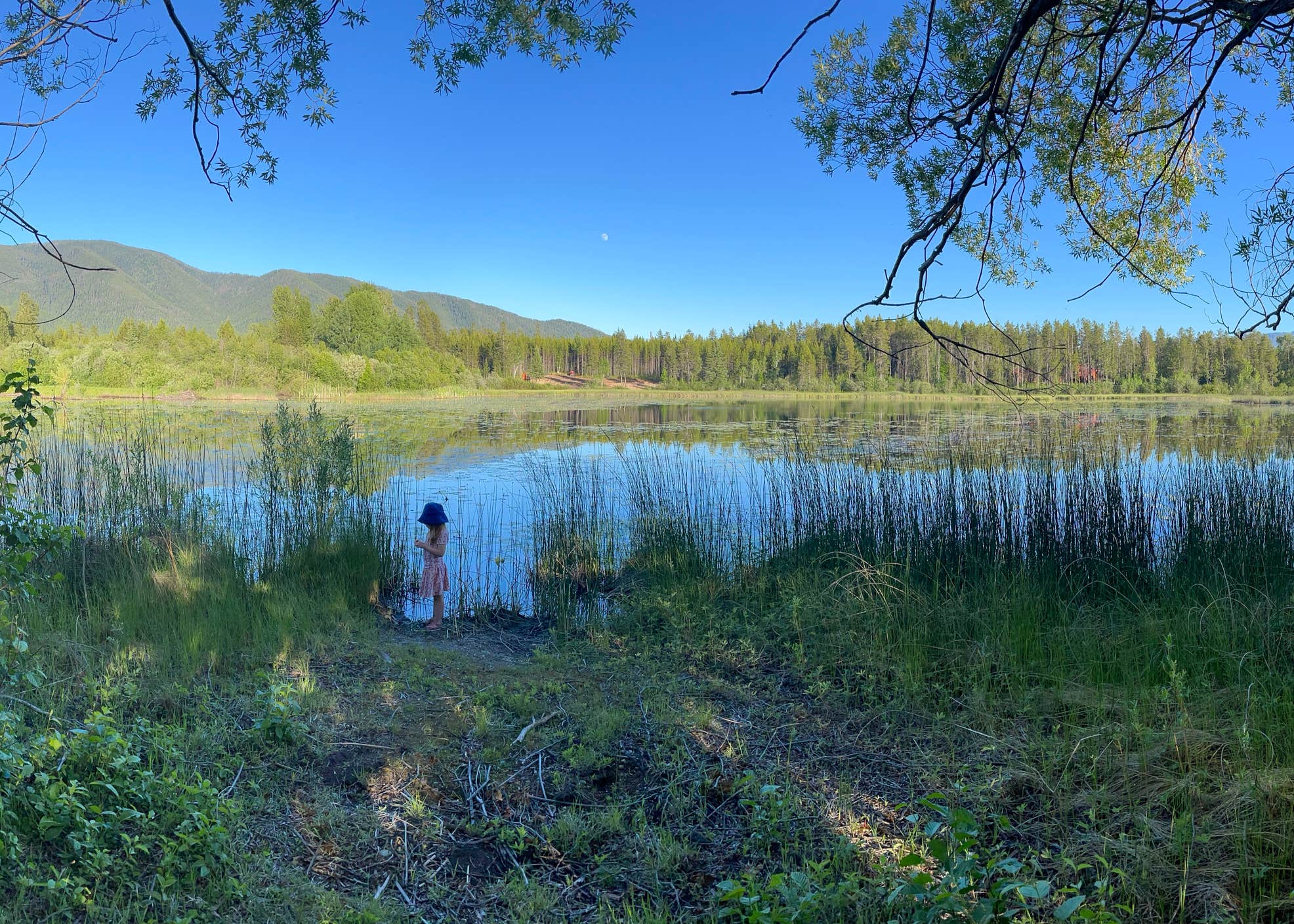 Glacier HipCamp (6 mins to West Glacier National Park) 🏕️ Camping | The ...