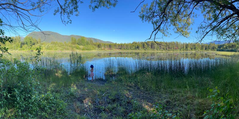Camper submitted image from Glacier HipCamp (6 mins to West Glacier National Park) 🏕️