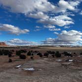 Review photo of BLM Bartlett Flat Camping Area by Adrian U., February 27, 2023