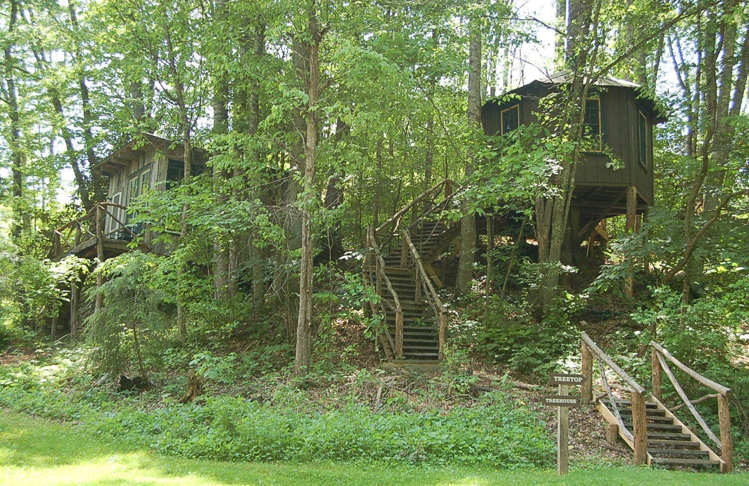 Camper submitted image from The Cabins At Healing Springs - 1