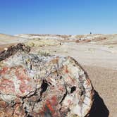 Review photo of Homolovi State Park Campground by Annie C., October 1, 2018