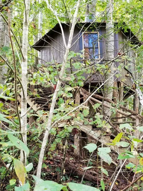 The Dyrt's photo of a cabin at The Cabins At Healing Springs near Creston, NC