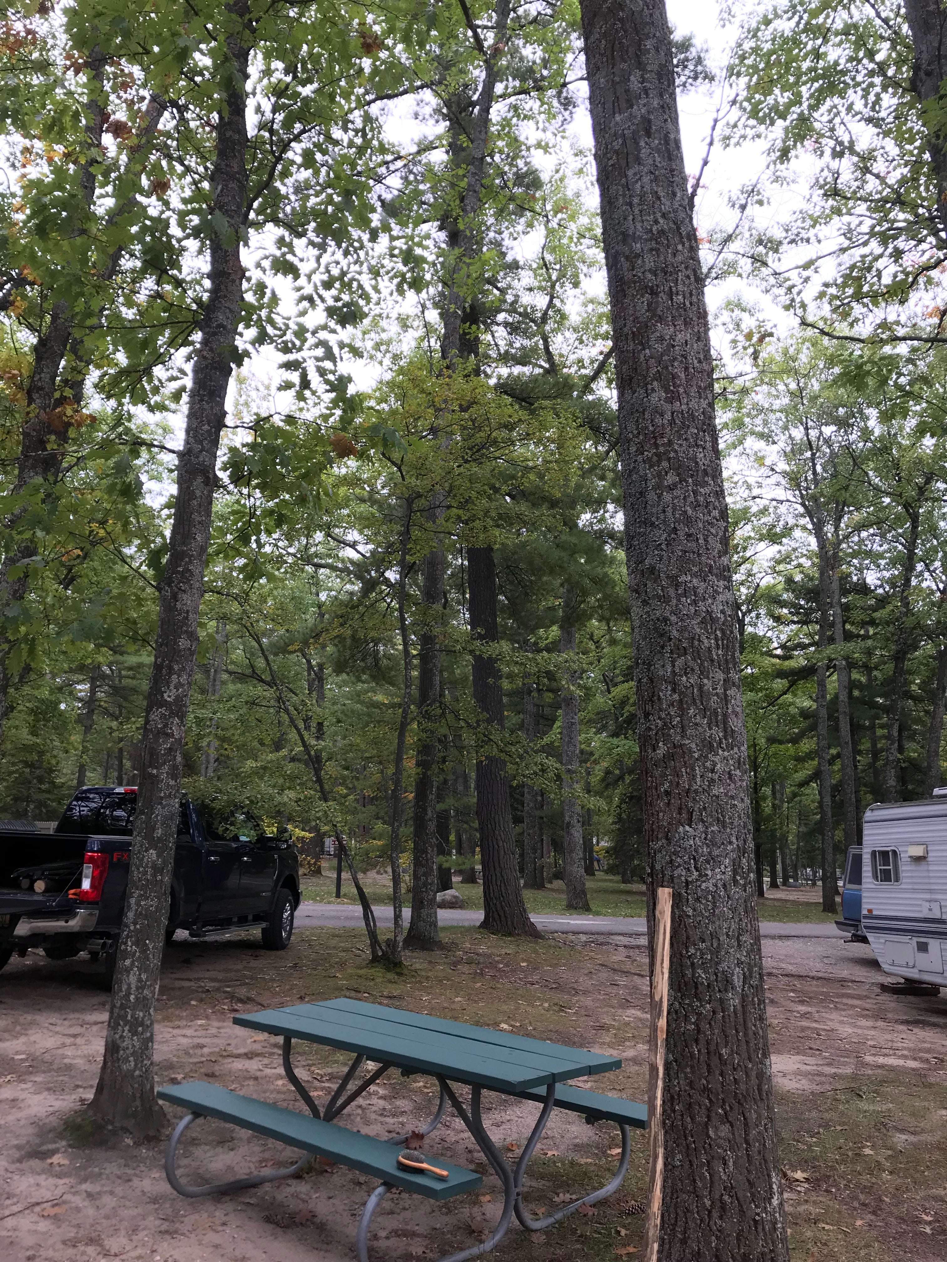 Camper submitted image from Otsego Lake State Park Campground - 3