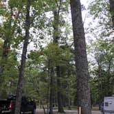 Review photo of Otsego Lake State Park Campground by Andrea B., October 1, 2018