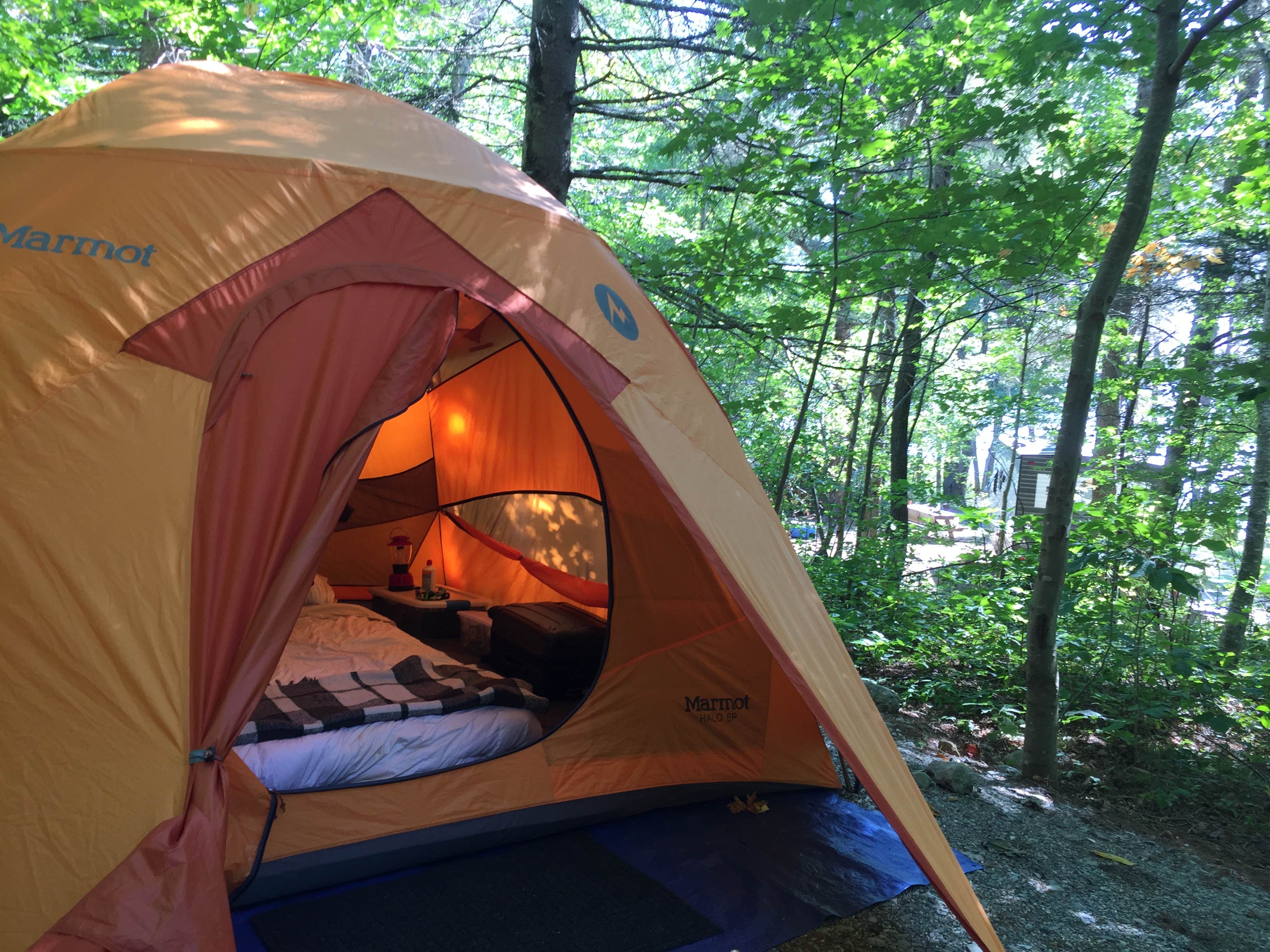 Camper submitted image from Lamoine State Park Campground - 4