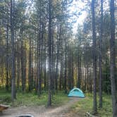 Review photo of Glacier HipCamp (6 mins to West Glacier National Park) 🏕️ by Jake B., February 28, 2023