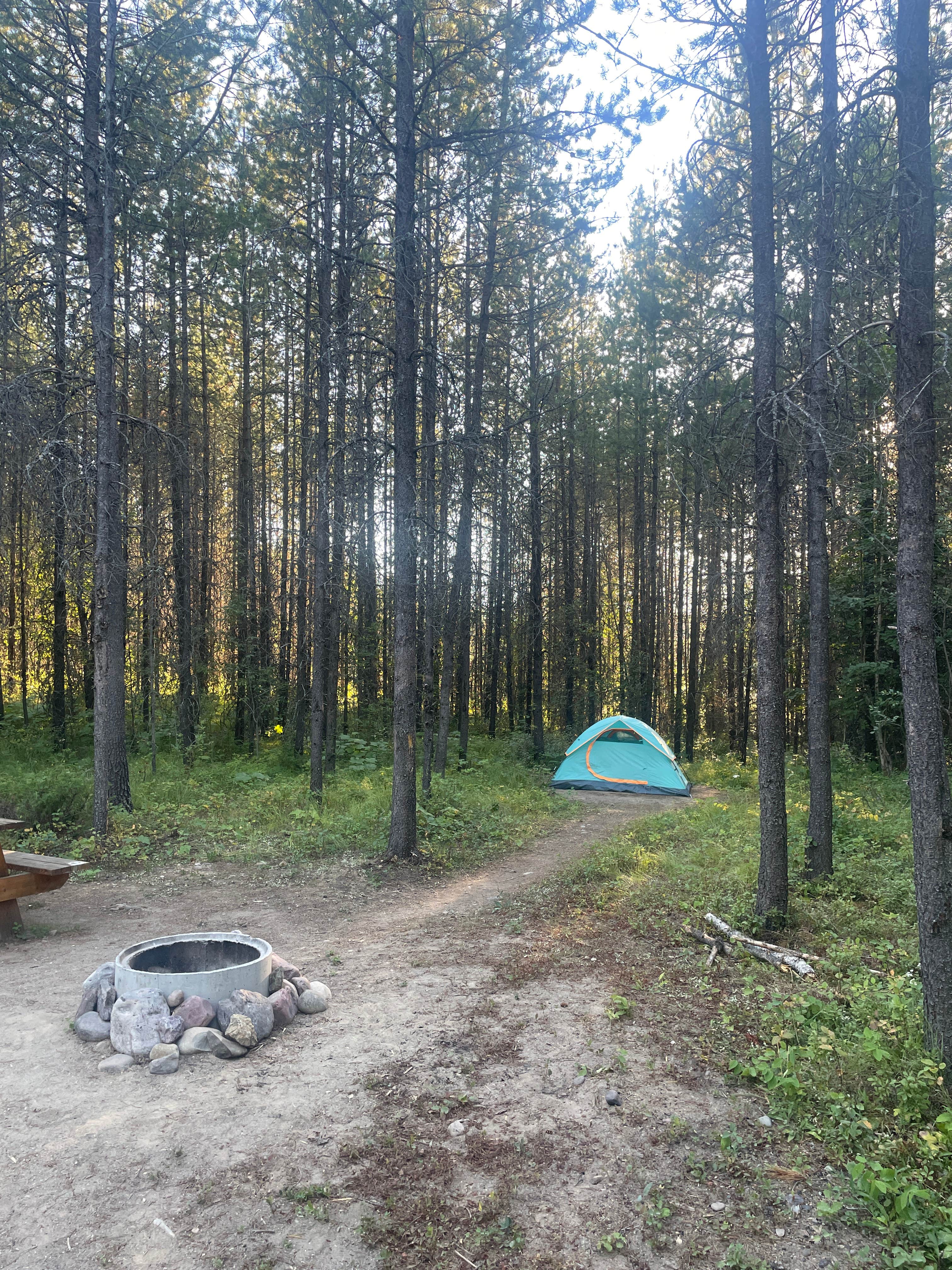 Camper submitted image from Glacier HipCamp (6 mins to West Glacier National Park) 🏕️ - 5