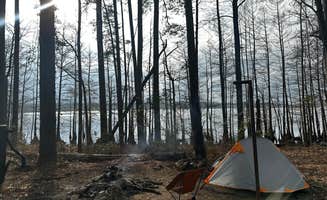 Name's photo at Corney Lake South Shore Campground near McNeil, AR