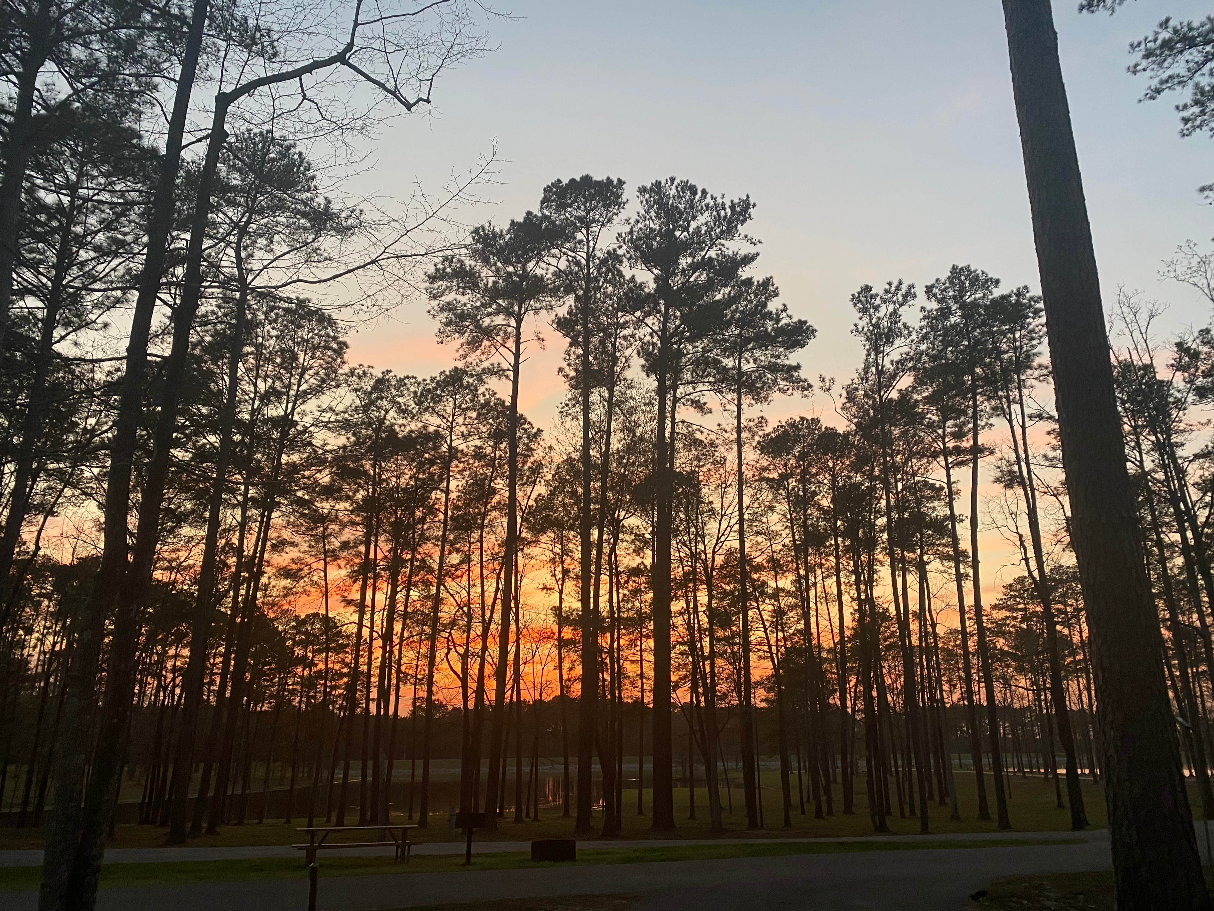 Camper-submitted photo at Big Creek Water Park near Ovett, MS