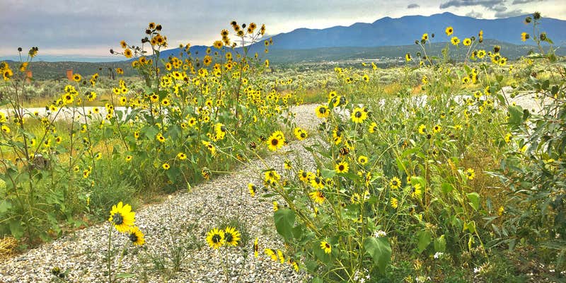 Camper submitted image from Oasis on the Mesa