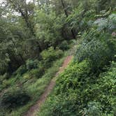 Review photo of Gulpha Gorge Campground — Hot Springs National Park by Shelly S., August 14, 2016