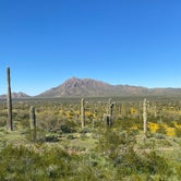 Review photo of Picacho Peak State Park Campground by milissa S., February 28, 2023