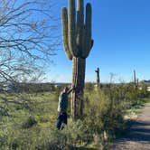 Review photo of Picacho Peak State Park Campground by milissa S., February 28, 2023