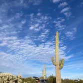 Review photo of Cactus Forest Dispersed Site by cal K., March 1, 2023