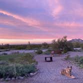 Review photo of Picacho Peak State Park Campground by cal K., March 1, 2023