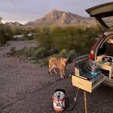 Review photo of Picacho Peak State Park Campground by cal K., March 1, 2023