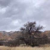 Review photo of Cochise Stronghold Campground by cal K., March 1, 2023