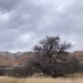 Review photo of Cochise Stronghold Campground by Hannah  K., March 1, 2023