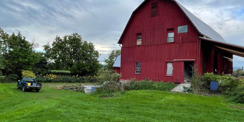 Camper submitted image from Six Circles Farm (Camp Elderberry)