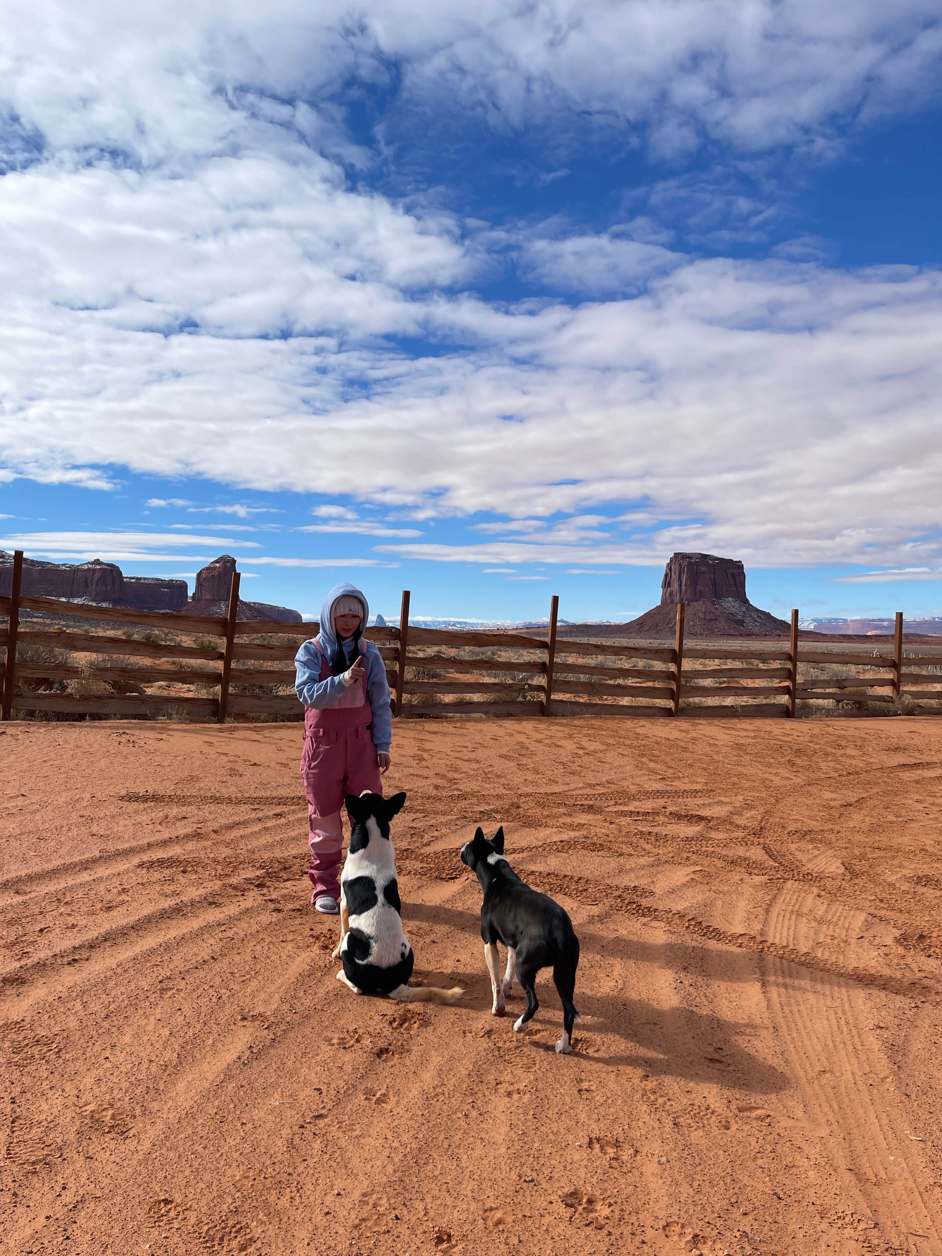 liu Z.'s photo of camping with pets at Hummingbird Campground near Kayenta, AZ